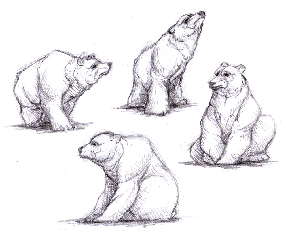 1000x827 Magellin . Blog Grizzly Bear Gesture Sketches - Grizzly Sketch
