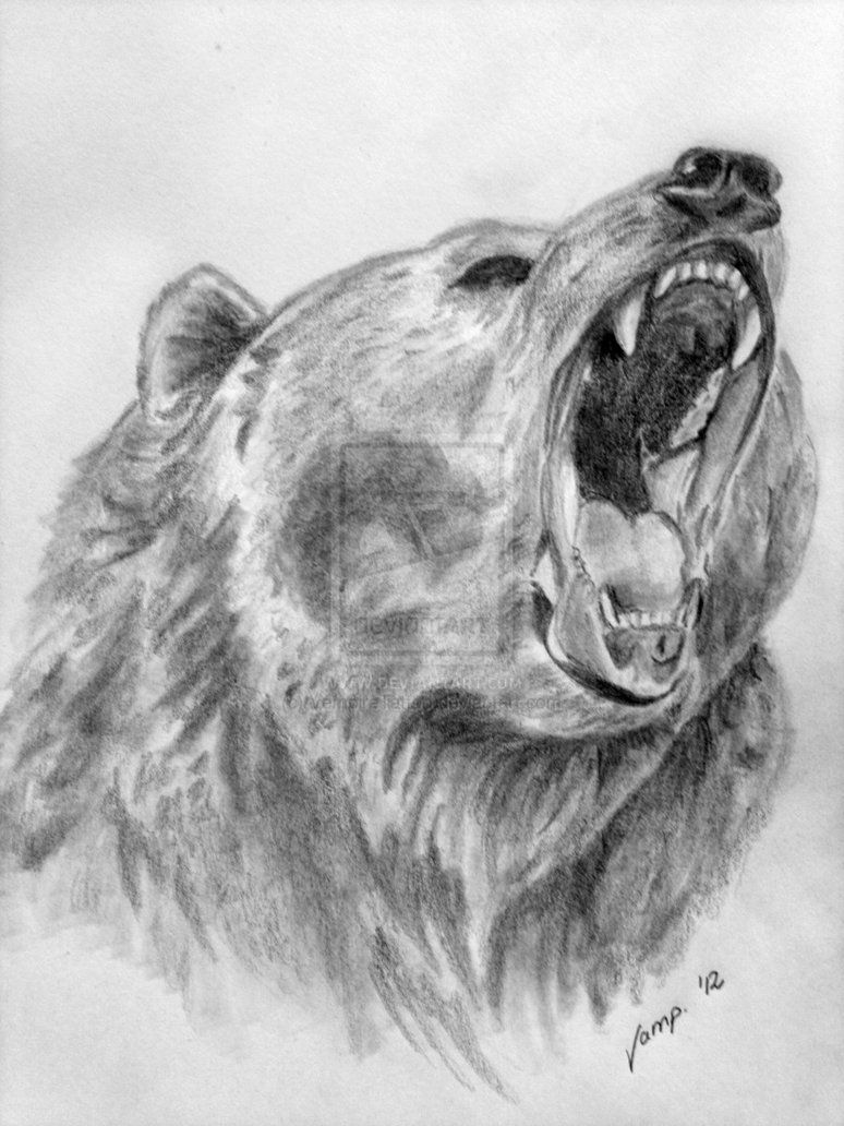 774x1032 Bear Sketches Realistic Bear Drawing By Vempiretattoo On - Grizzly Sketch
