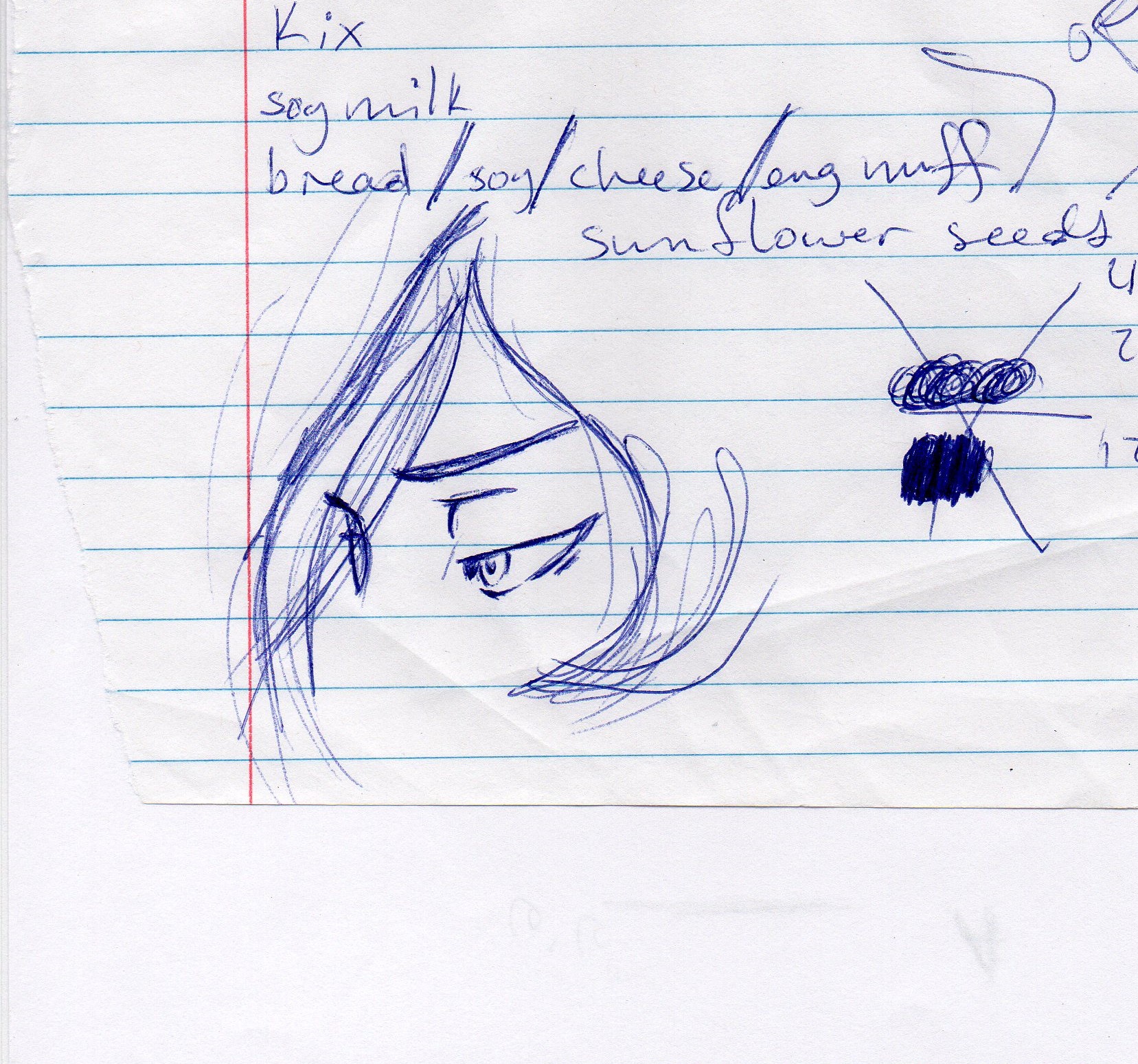 1657x1549 Grocery List Sketch Duri Rolvsson - Grocery Sketch