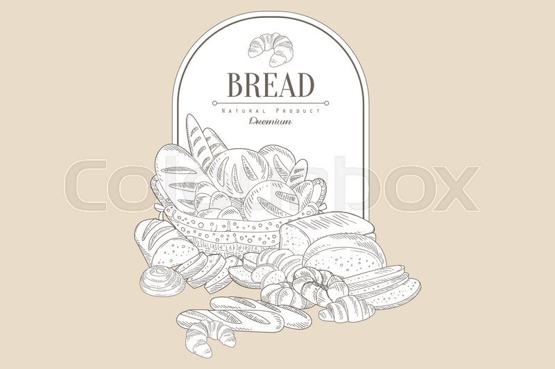 800x533 Sketch Composition Of Basket With Bakery Goods And Place For Text - Grocery Sketch