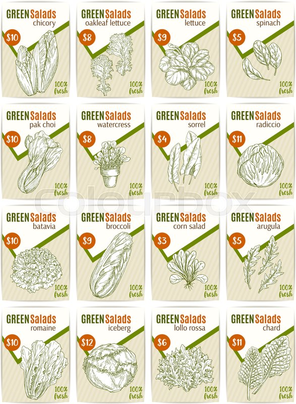 587x800 Green Salads Or Vegetables Price Cards Sketch Design Templates For - Grocery Store Sketch