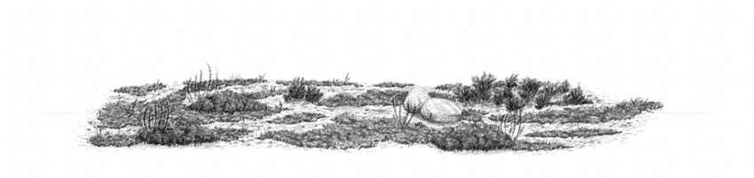 850x201 How To Draw Grass, Ground, And Rocks - Ground Sketch