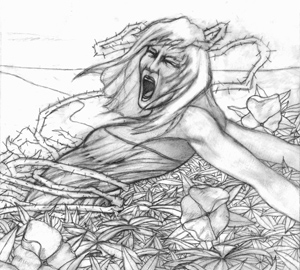 300x270 Common Ground - Ground Sketch