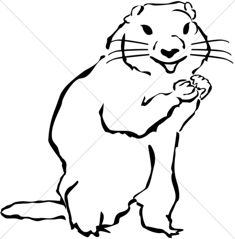 765x776 Groundhog Wildlife Clipart - Groundhog Sketch