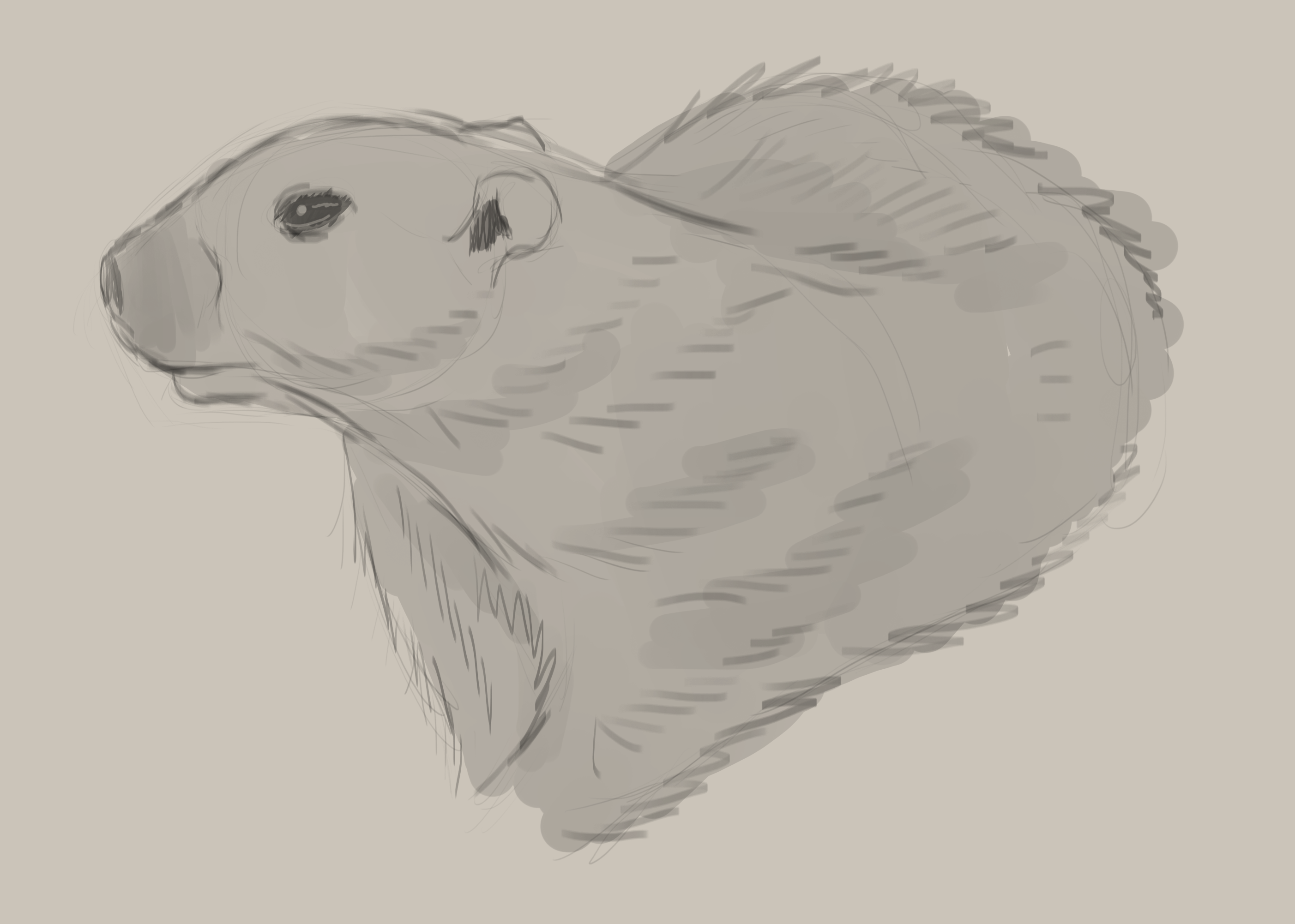 2805x2002 February 2nd - Groundhog Sketch
