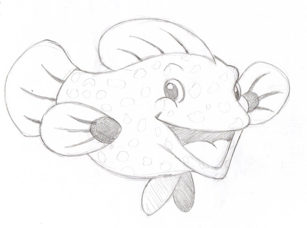 1024x762 Grouper Sketch - Grouper Sketch