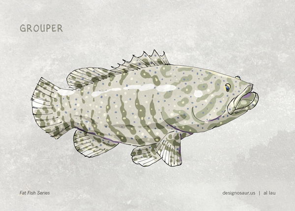 600x429 Grouper Blog.designosaur.us - Grouper Sketch