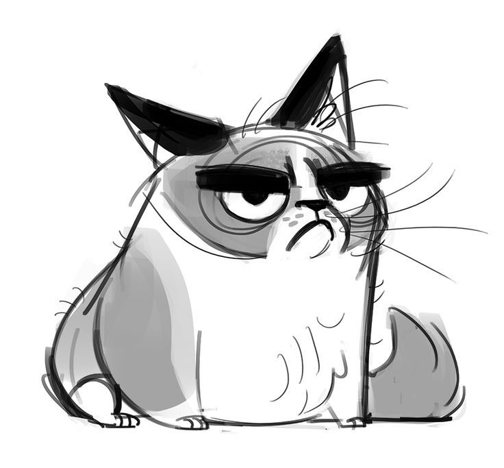 Grumpy Cat Sketch At Explore Collection Of Grumpy Cat Sketch 9305