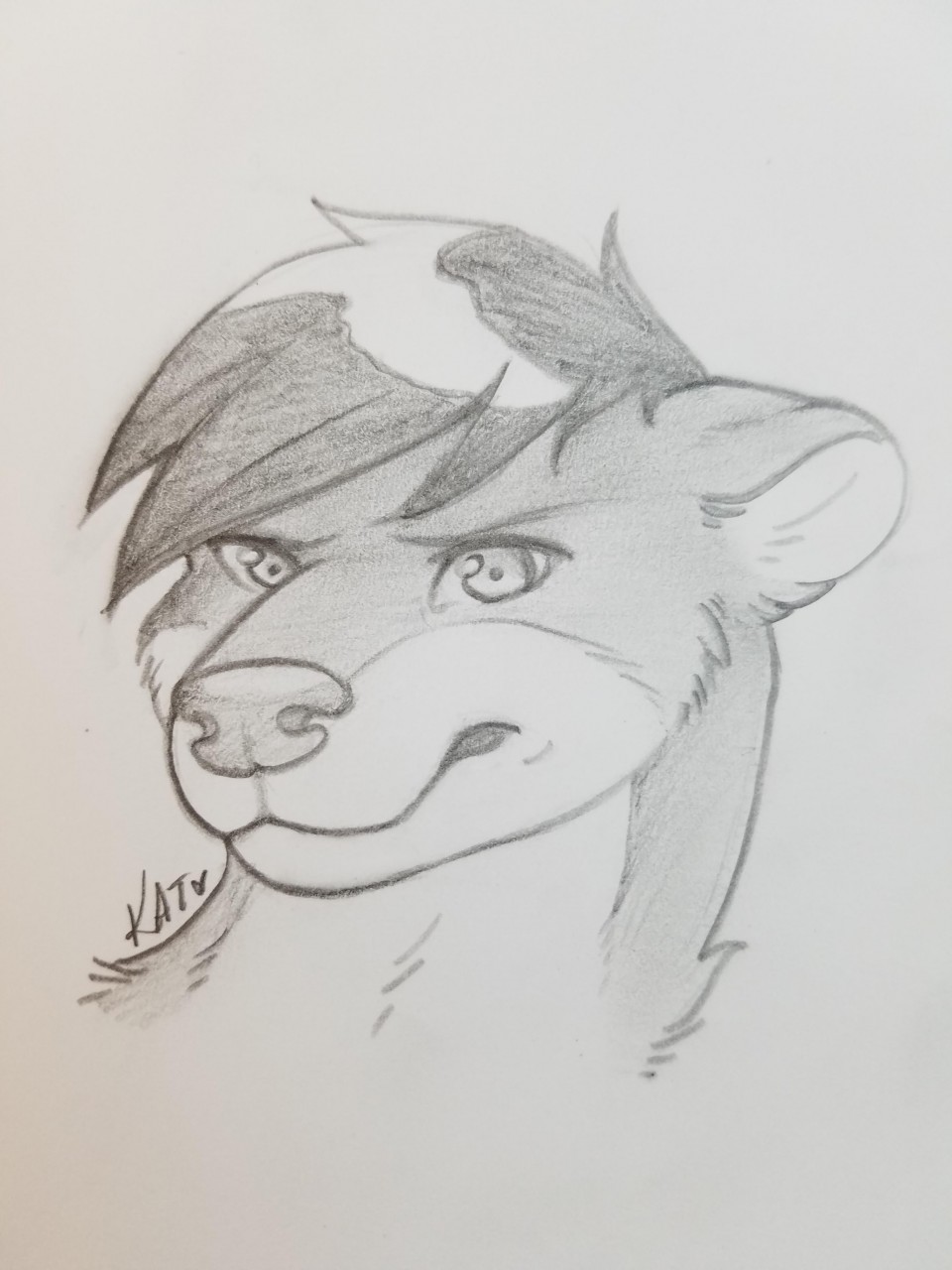 960x1280 Grumpy Otter! By Ssephy - Grumpy Sketch