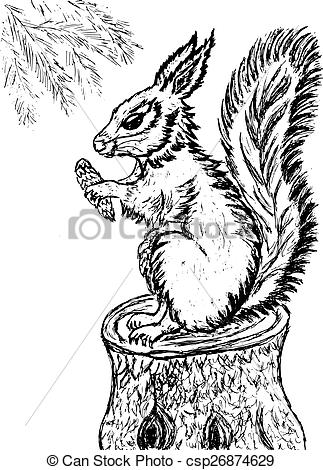 323x470 Squirrel Sketch. Grunge Sketch Of A Cute Squirrel, Hand Drawn - Grunge Sketch
