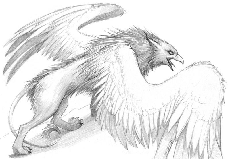 Gryphon Sketch at PaintingValley.com | Explore collection of Gryphon Sketch