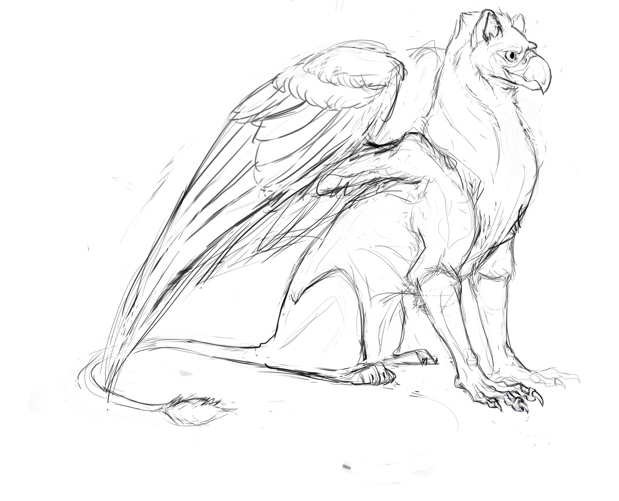 1984x1607 Gryphon Sketch Weasyl - Gryphon Sketch