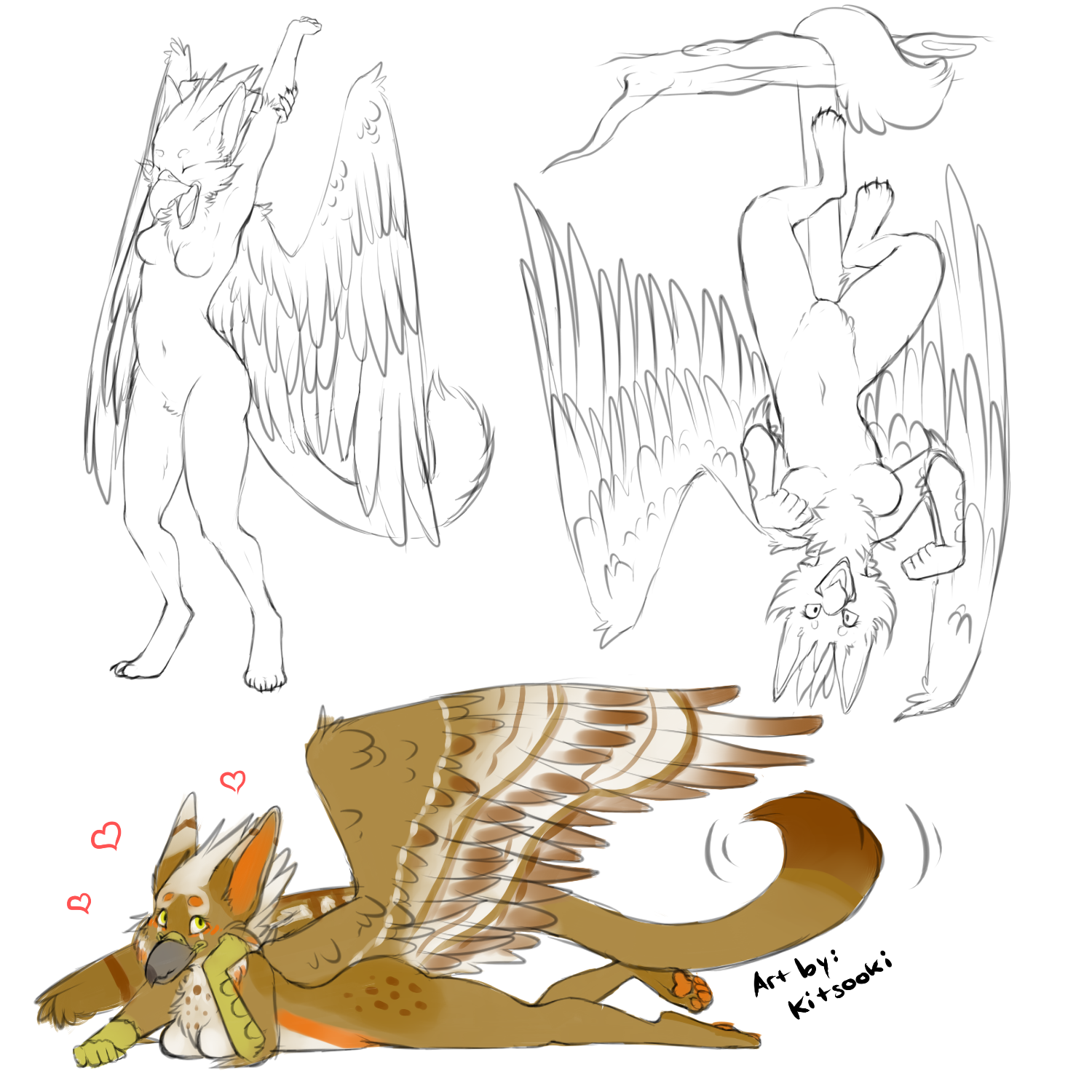 1500x1500 Gryphon Sketches! By Kitsooki - Gryphon Sketch