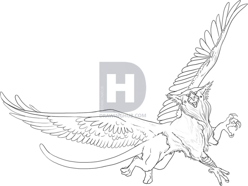 957x720 How To Draw A Griffin, Step By Step, Drawing Guide, By Darkonator - Gryphon Sketch