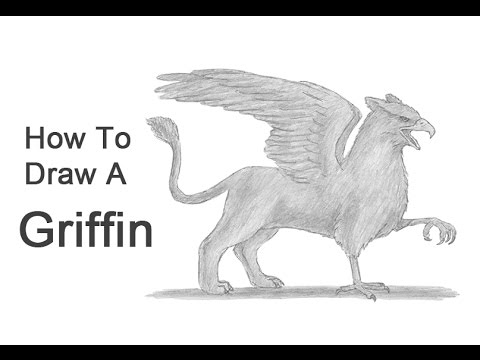 480x360 How To Draw A Griffin (Gryphon) - Gryphon Sketch