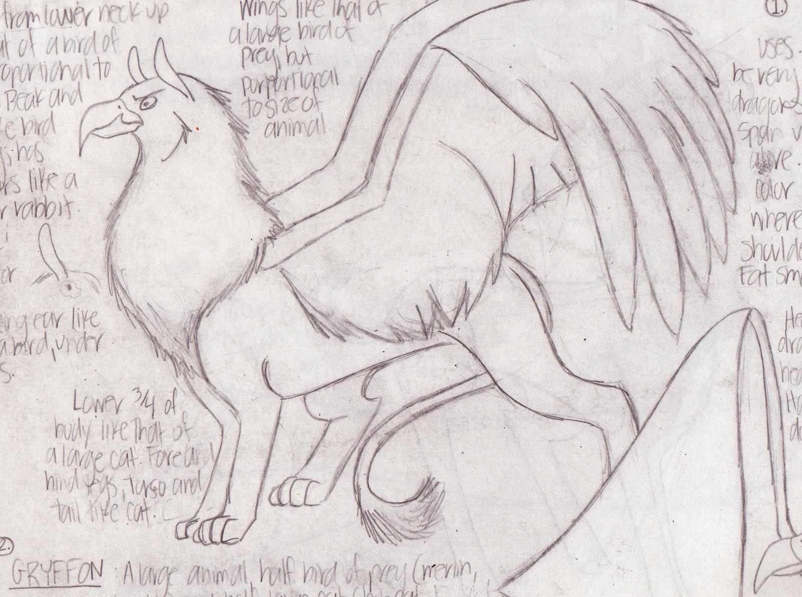 1600x1190 Jenna Elizabeth Johnson Gryphon And Draffyd Sketch - Gryphon Sketch