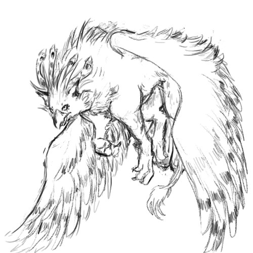 500x500 Raz Gryphon Sketch By Therarehunterhunter - Gryphon Sketch