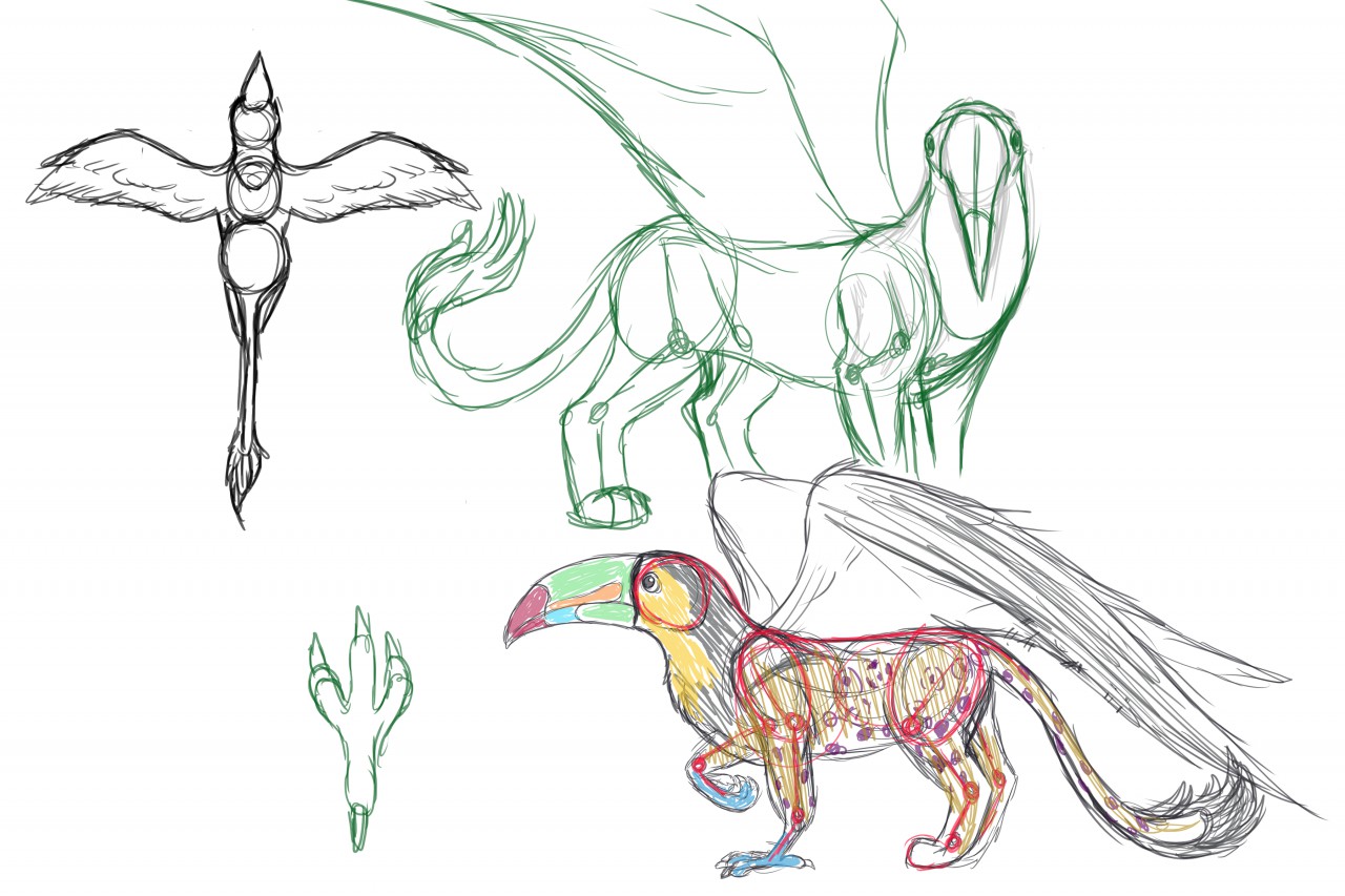 1280x853 Toucan Gryphon Sketch By Shadow Wing456 - Gryphon Sketch