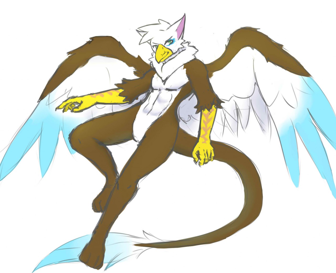 1280x1040 First Gryphon (Sketch) By Verelin - Gryphon Sketch