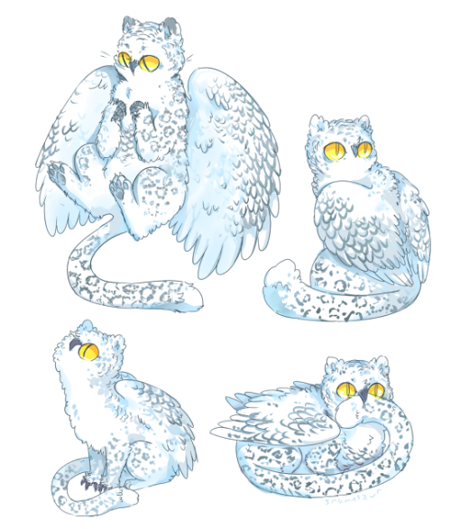 500x586 Gryphon Drawing Tumblr - Gryphon Sketch