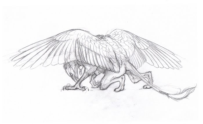 700x429 Featherseeds Allegiance - Gryphon Sketch