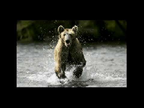 480x360 Canon Gsp Product Launch @ Sketch - Gsp Sketch