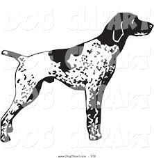 222x227 Gsp Dog Image Sketch - Gsp Sketch