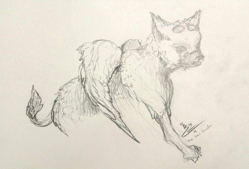 1024x696 Last Guardian Sketch Furry Amino - Guardian Sketch