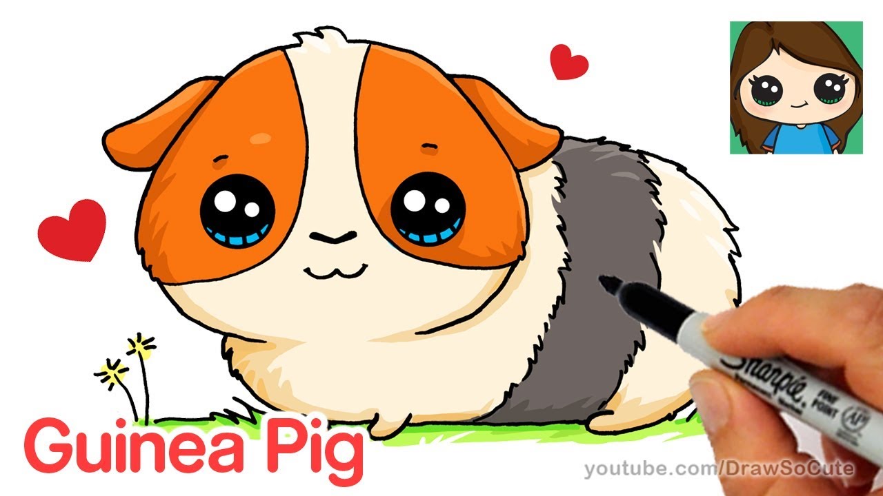 1280x720 How To Draw A Guinea Pig Easy And Cute - Guinea Pig Sketch