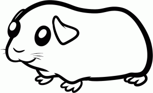 302x185 How To Draw How To Draw A Guinea Pig For Kids - Guinea Pig Sketch