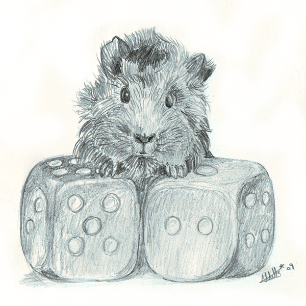 600x600 Sunday Sketch - Guinea Pig Sketch