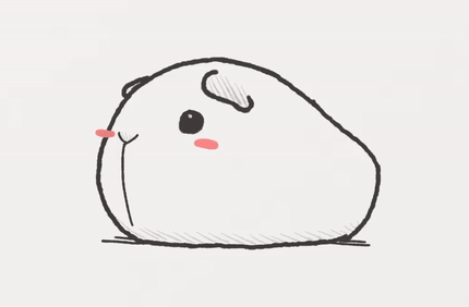 430x282 Guinea Pig Drawing Tumblr - Guinea Pig Sketch