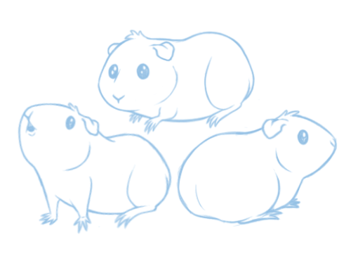510x361 Guinea Pig Sketches By Diabeticcupcake - Guinea Pig Sketch