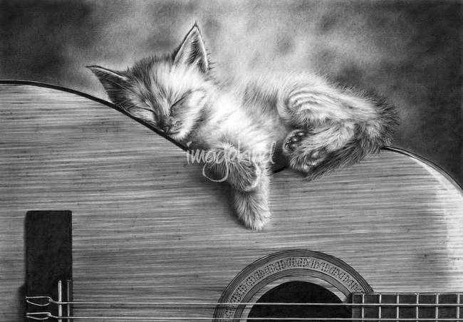 650x452 Stunning Guitar Colored Pencil Drawings And Illustrations For - Guitar Pencil Sketches