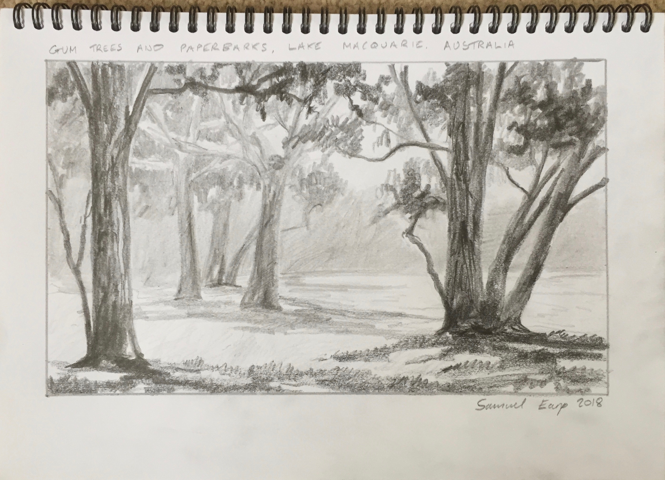 2796x2020 How To Draw An Australian Woodland Scene - Gum Sketch