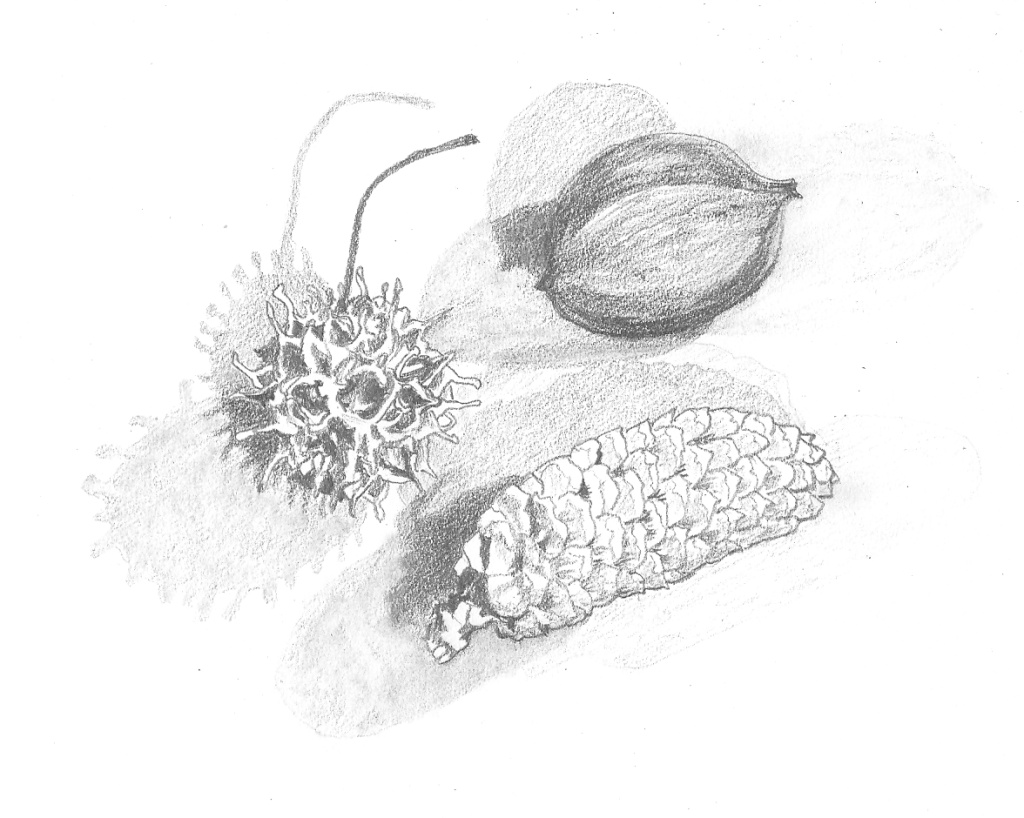 1024x818 Sketch A Day 2011 Feb. 20th, 2011 - Gum Sketch