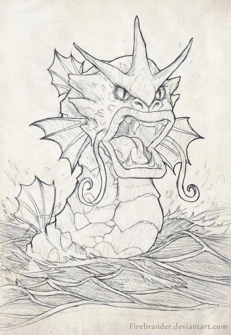 744x1075 Gyarados Sketch By Firebrander - Gyarados Sketch