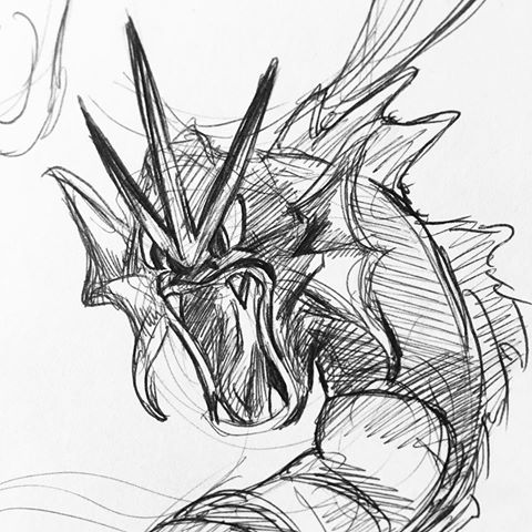 480x480 Images About - Gyarados Sketch