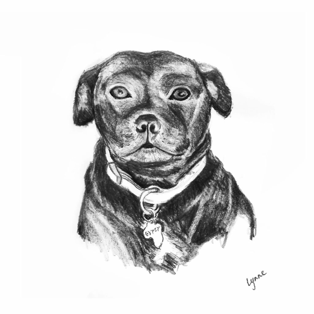 1024x1024 Gypsy, A Sketch - Gypsy Sketch