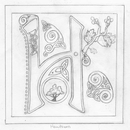 450x451 Letter H Sketch By Ladyfireoak - H Sketch