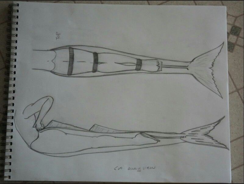 800x604 How They Make The Longer Tails In H2o And Mako Mermaids Fins - H2o Sketch