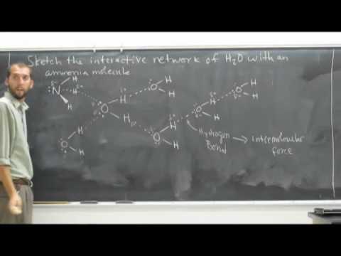 480x360 Sketch H2o And Include A Nh3 Molecule - H2o Sketch