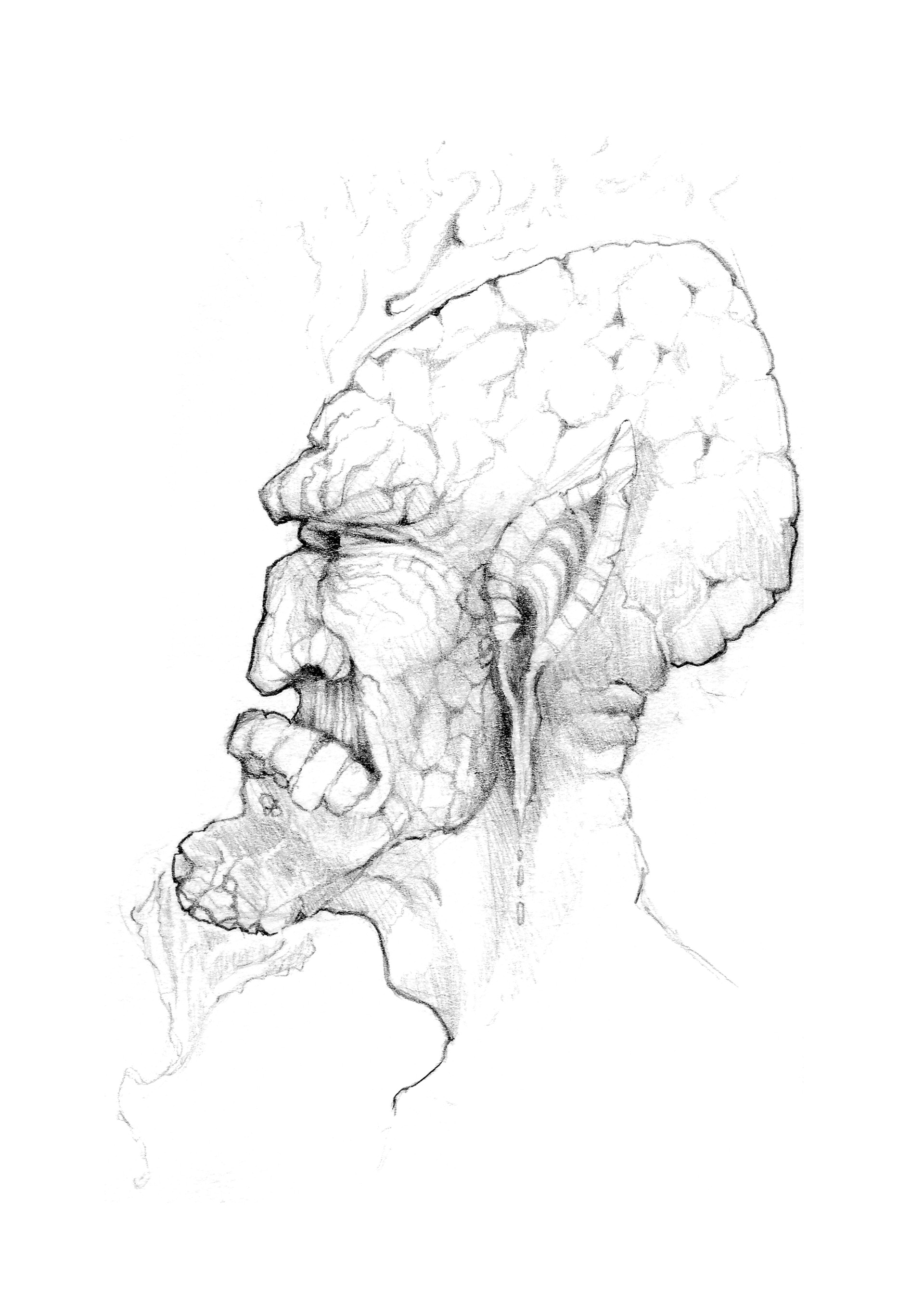 1920x2715 John Walters - Hades Sketch