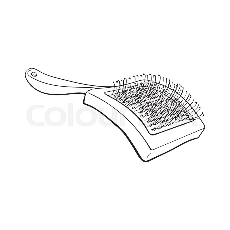 800x800 Pet, Cat, Dog Hair Brush, Grooming Accessory, Black And White - Hair Brush Sketch