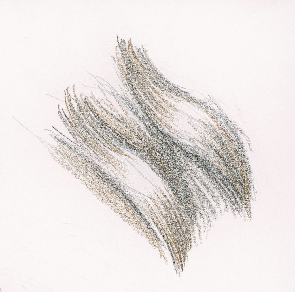 1024x1012 Drawing Hair For Beginners Graphite And Colored Pencil Techniques - Hair Pencil Sketch