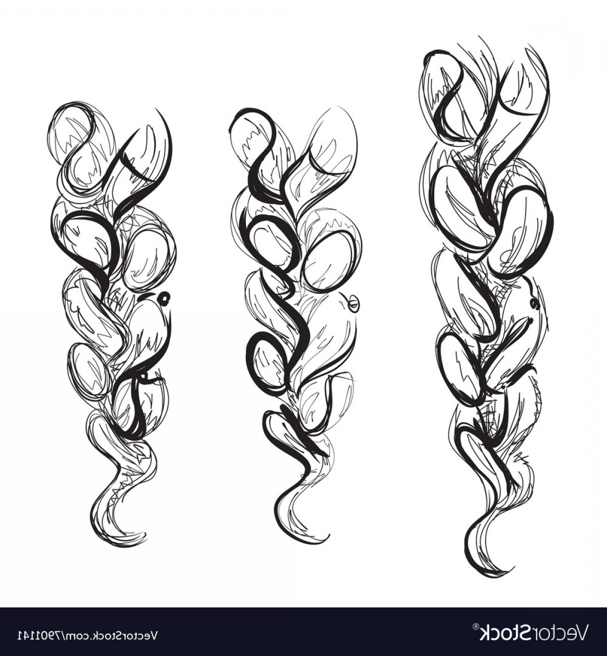 1200x1296 Braid Sketch Hand Drawn Poster For Hair Salon Vector Shopatcloth - Hair Salon Sketch