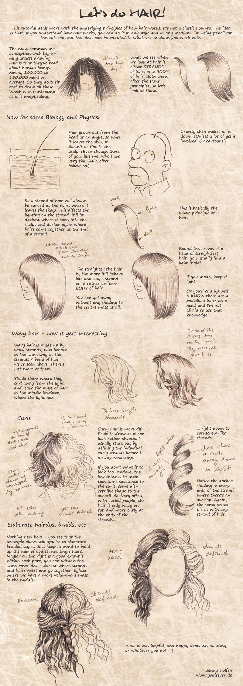 800x2259 Drawing - Hair Sketch Tutorial
