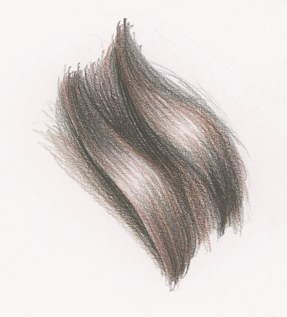 928x1024 Drawing Hair For Beginners Graphite And Colored Pencil Techniques - Hairstyle Sketches
