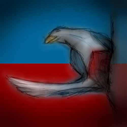 500x500 Haitian Bird - Haiti Sketch