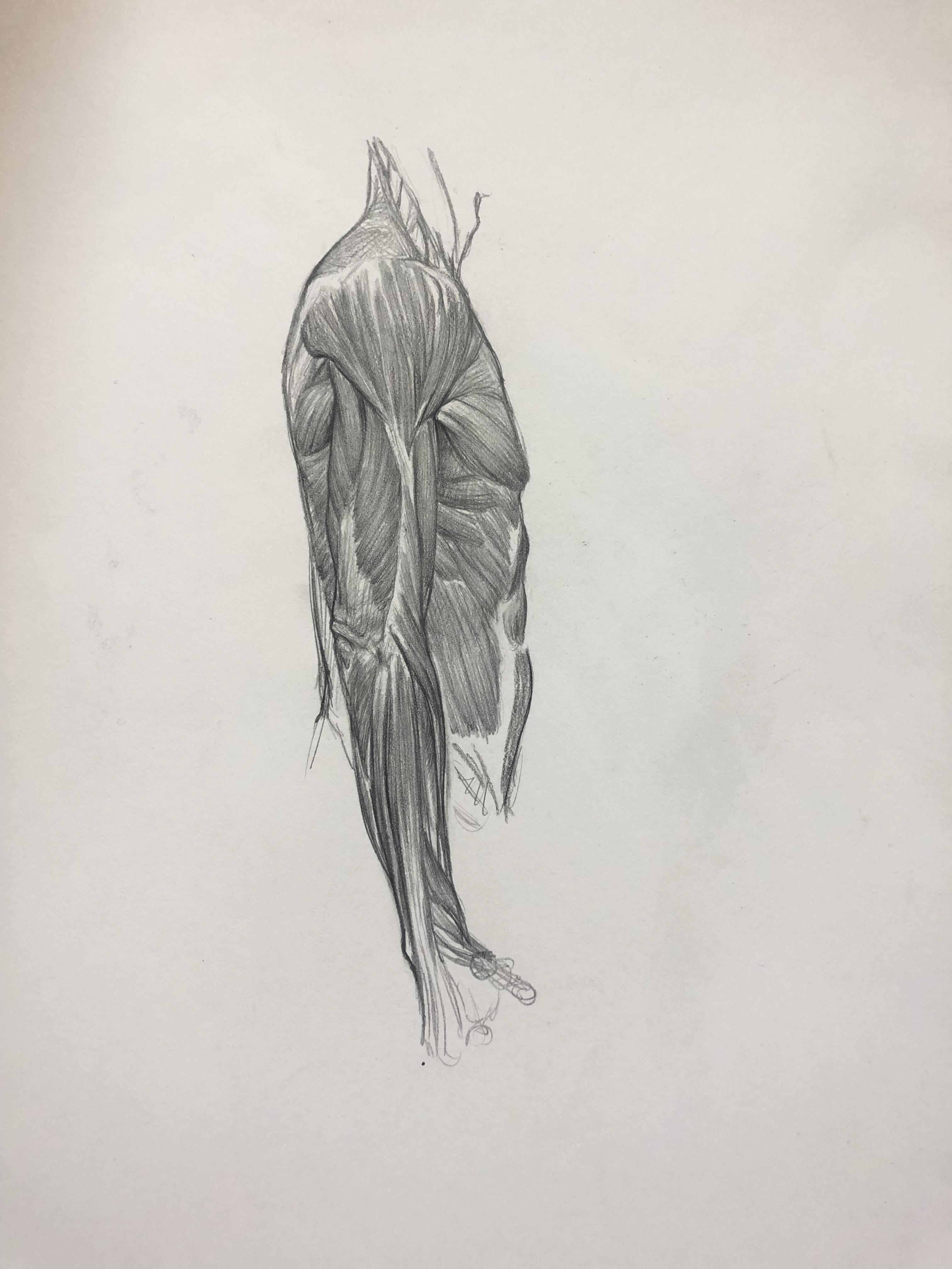 3024x4032 Magid Hajj - Hajj Sketch